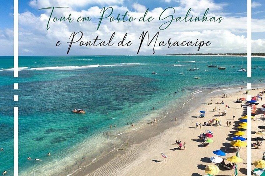 Day Trip to Porto de Galinhas from Recife 5