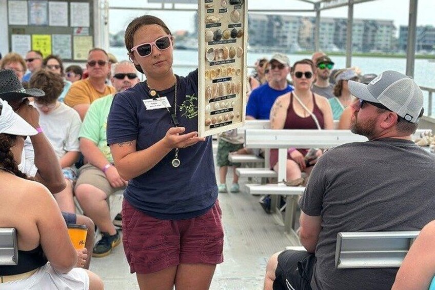 Saltwater Marsh Eco Shelling Tour in Murrells Inlet, SC 2