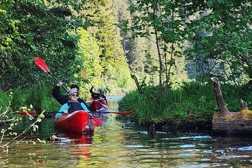 Deux personnes pratiquent le kayak sur une rivière bordée de verdure. 2