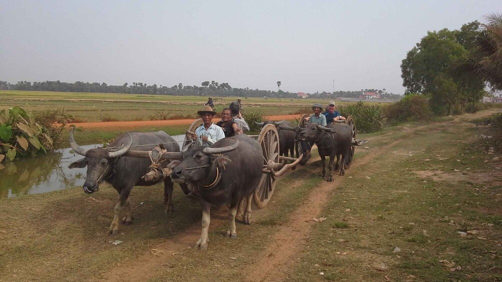 Picture 18 for Activity Floating Village, Ox-cart ride Tour, Lunch hosted by Locals 2