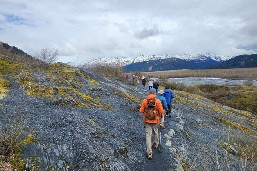 Exit Glacier Nature Hike 3