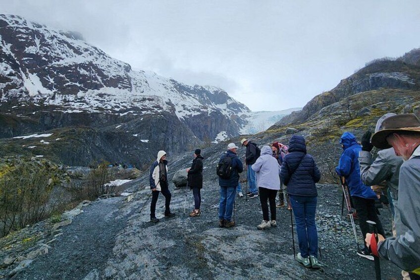 Exit Glacier Nature Hike 3
