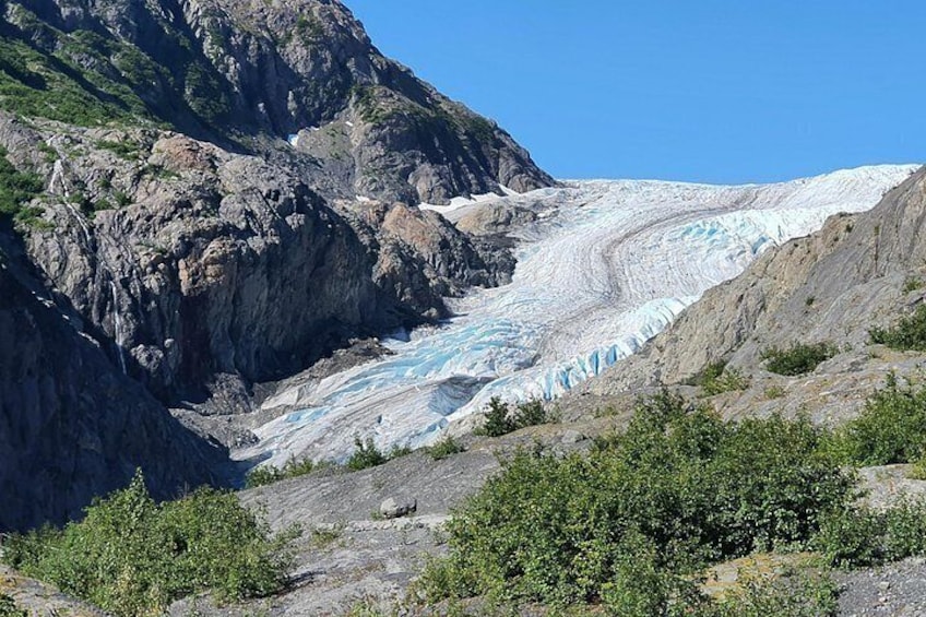 Exit Glacier in the Kenai Fjords National Park 2