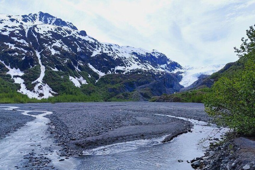 Exit Glacier Nature Hike 2