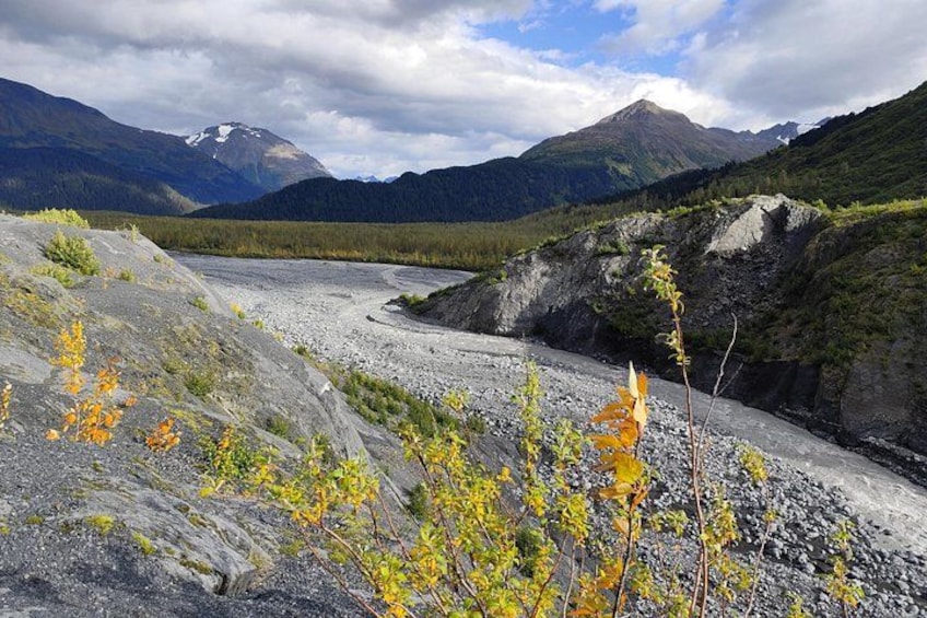 Exit Glacier Nature Hike 4