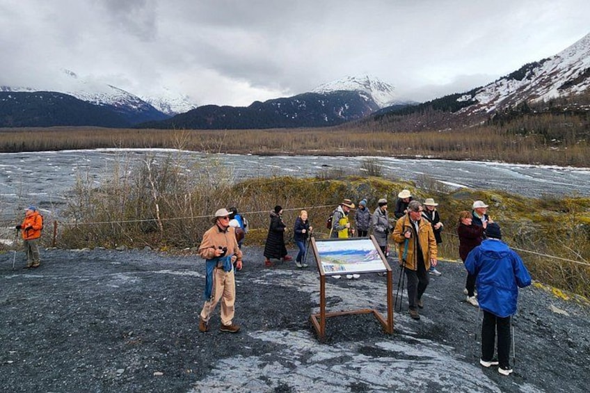 Exit Glacier Nature Hike 3