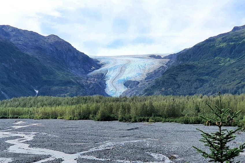 Un ghiacciaio tra due montagne, con una zona boscosa in primo piano. 1