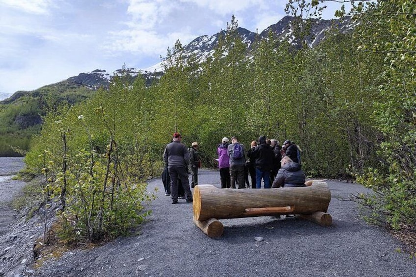 Exit Glacier Nature Hike 5