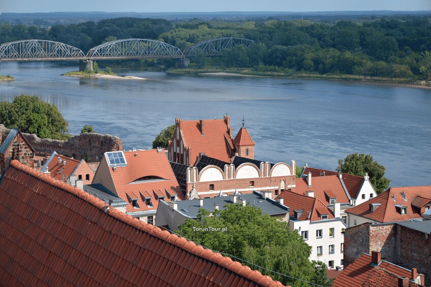 A river with a bridge, red-roofed buildings, and greenery. 4