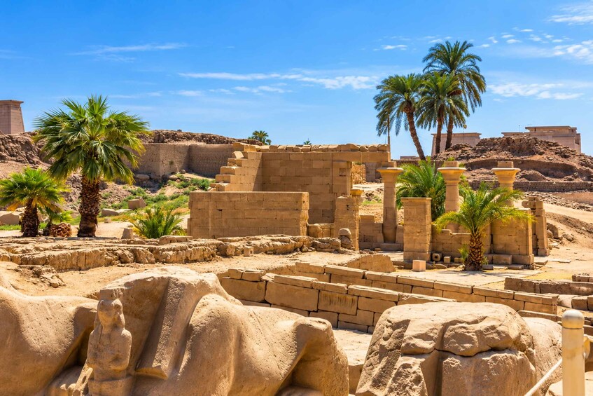 Ancient Egyptian ruins with palm trees and stone statues. 5