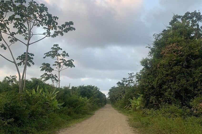 3-Day Private Tour From Tegucigalpa to Tela and La Ceiba 3