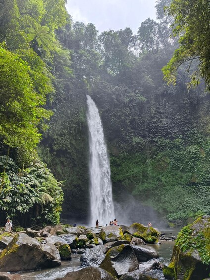 Een waterval omgeven door weelderige begroeiing en rotsen. 2
