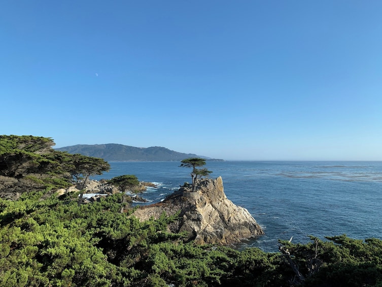 Un paysage côtier caractérisé par des falaises rocheuses, une végétation luxuriante et un ciel bleu dégagé. 2