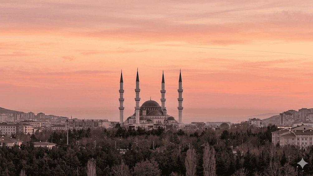 A mosque with four minarets and a dome, surrounded by trees and buildings. 1