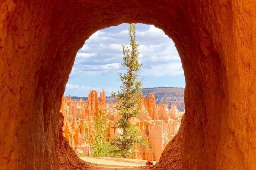 Un arco natural de roca con vistas a formaciones rocosas rojas y un árbol en primer plano. 3