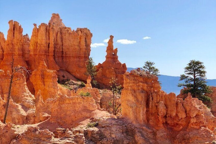 Un paisaje rocoso con formaciones rojas destacadas y vegetación escasa. 5