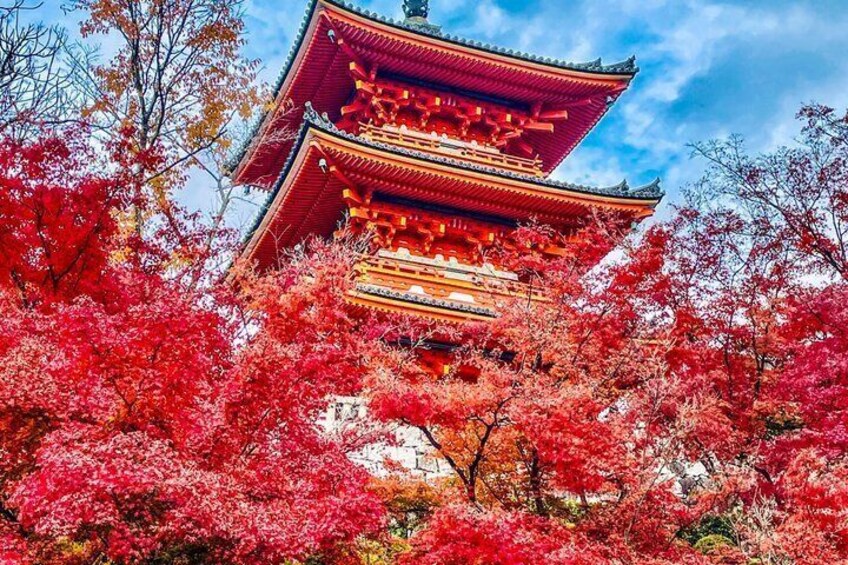 Une pagode japonaise traditionnelle, entourée d’un feuillage automnal d’un rouge éclatant. 1