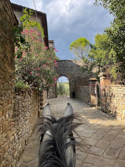 A horse's head looking through an old stone archway in a narrow alleyway. 1