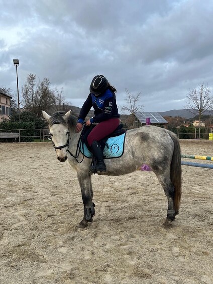 A person riding a horse in an outdoor arena with a cloudy sky. 5