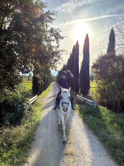 A person riding a white horse down a gravel path flanked by tall trees and a grassy field. 2