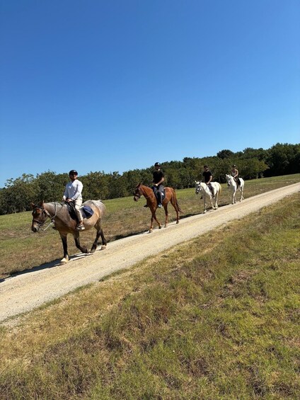 A group of people riding horses on a dirt path in a grassy area with trees in the background. 4