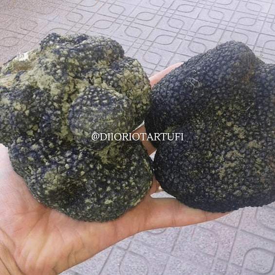 Two large, textured artichokes held in a hand. 5