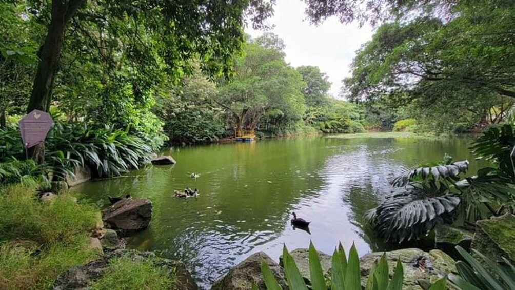 A pond surrounded by lush greenery and rocks. 3
