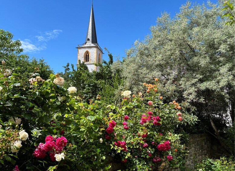 A church steeple, lush greenery, and blooming roses. 2