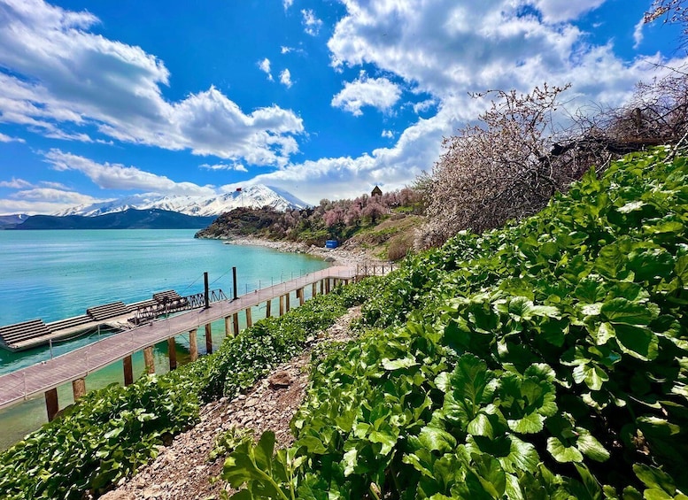 A coastal landscape with a pier, lush greenery, and a mountain in the background. 2