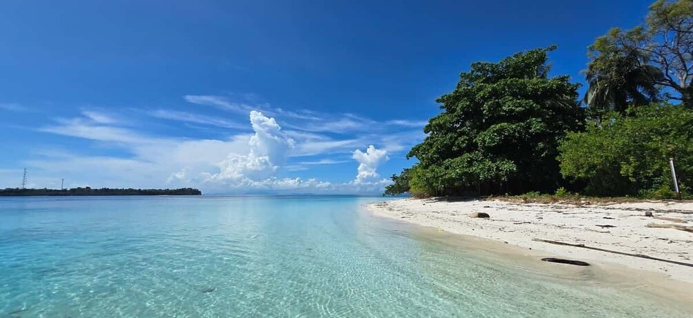 A clear turquoise sea, a sandy beach, and dense green foliage under a blue sky. 5