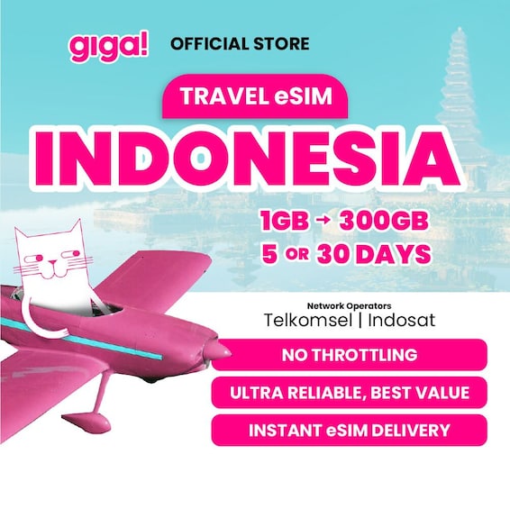 An airplane with a cat, promoting travel eSIM in Indonesia with 1GB to 300GB plans, Telkomsel, and Indosat network operators. 1