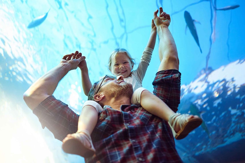 A person lying on their back with another person sitting on their shoulders, both facing upwards, in an aquarium with fish swimming around. 1