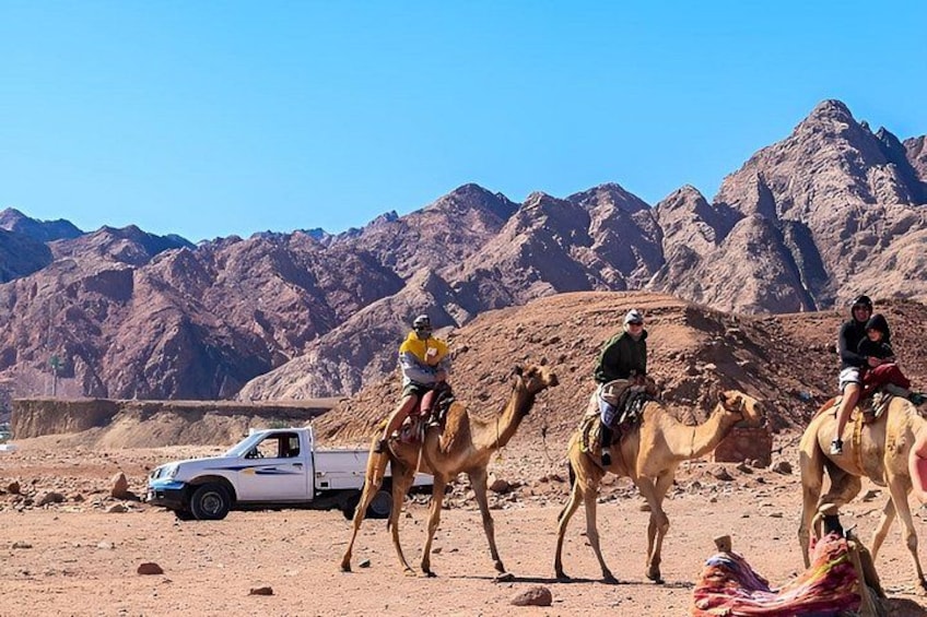 Three camels with riders, a white pickup truck, and a mountainous desert landscape. 5