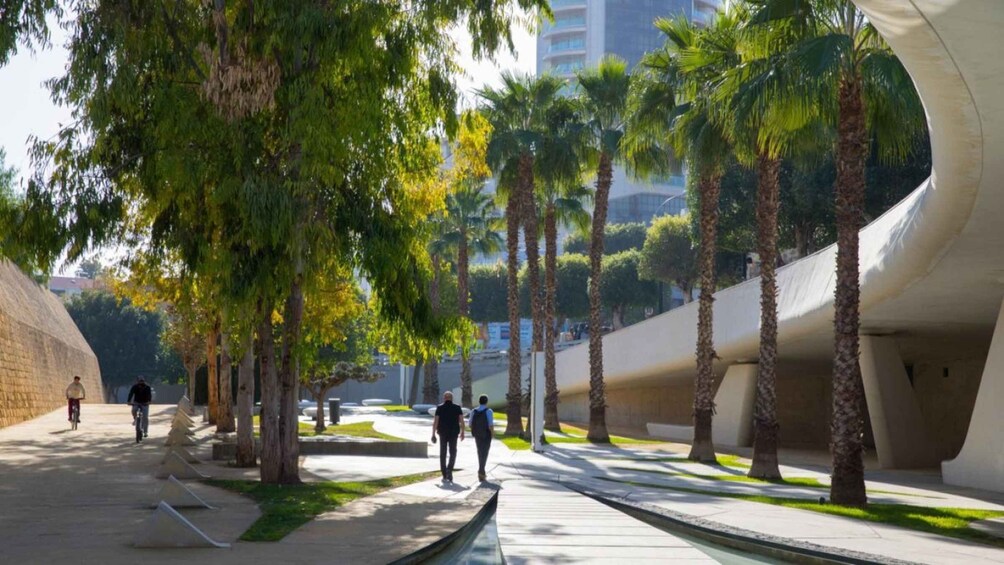 A pedestrian pathway lined with palm trees and modern architecture. 2