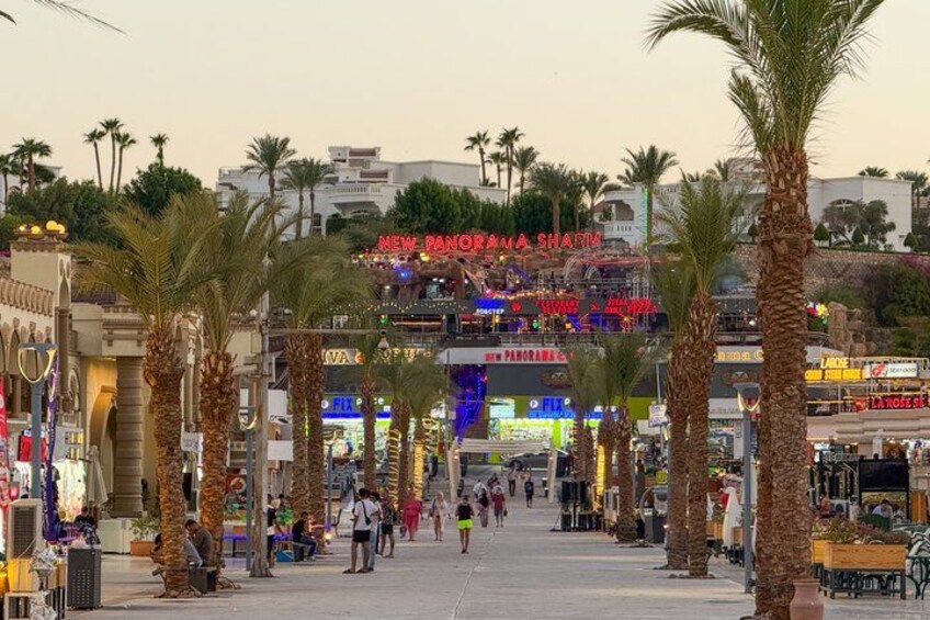 Una calle animada con palmeras, tiendas y un cartel llamativo que dice 'New Dubai Sharqia'. 4