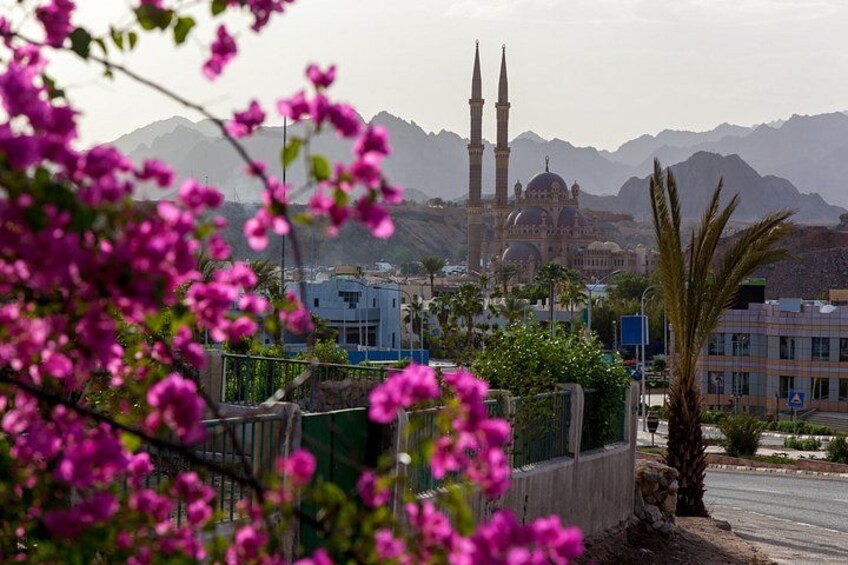 Sharm El Sheikh: Private City Tour, Old Market & Farsha Café 4