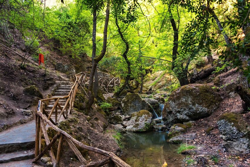 A wooden bridge over a stream in a forested area with a small waterfall. 4