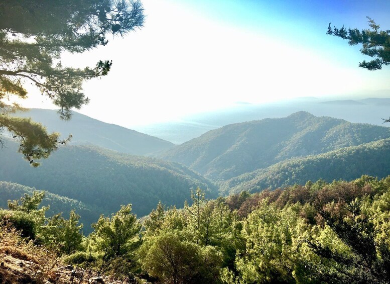 A mountainous landscape with dense forests and a clear sky. 5