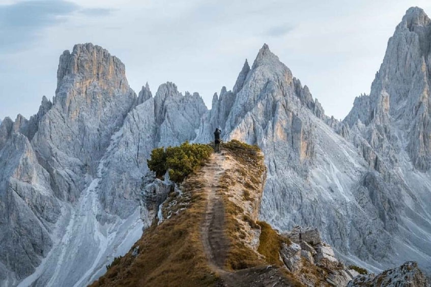 VENICE : SPECTACULAR TOUR 3 PEAKS and CORTINA 1