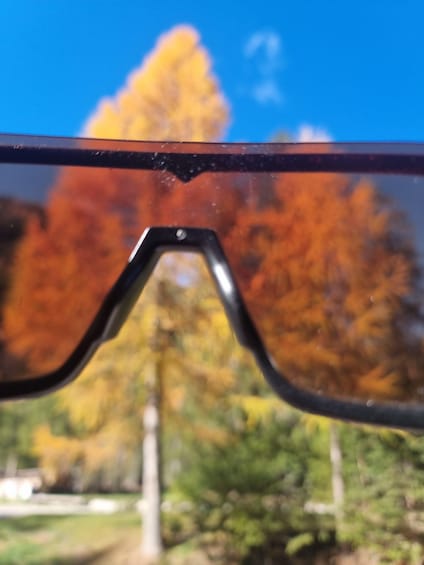 A pair of glasses with a blurred background of autumn-colored trees. 5