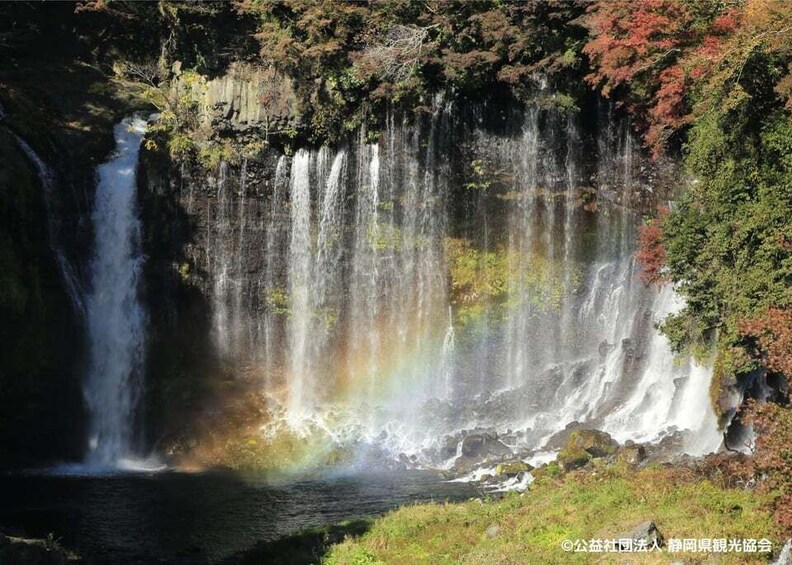 Picture 2 for Activity Tokyo: Mt. Fuji Safari Park, Shiraito Falls & Shrine Tour 5