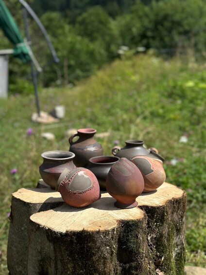 A collection of pottery on a tree stump in a garden. 1