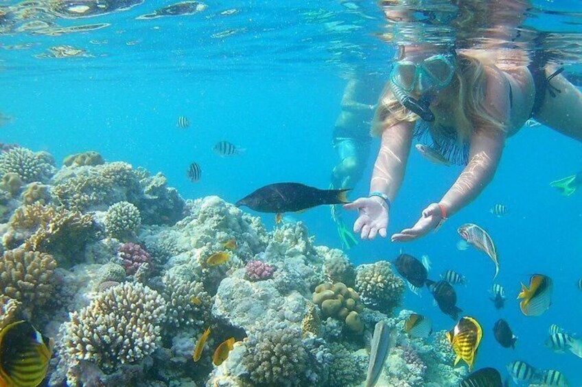 Une personne nageant sous l’eau, au milieu d’un récif corallien et de poissons. 4
