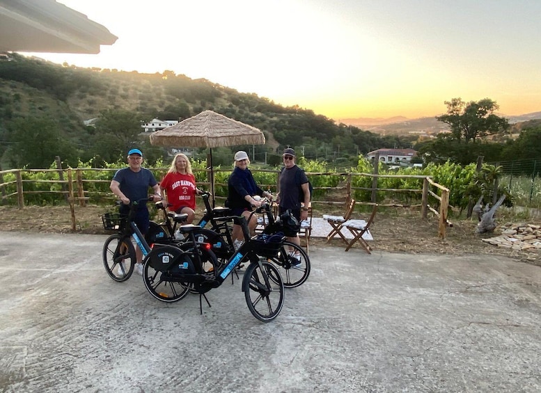 Picture 9 for Activity E-bike Tour in Cilento with Premium Food Tasting 3