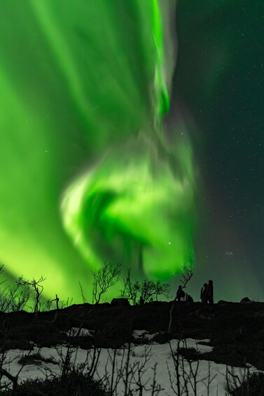 A green aurora over a snowy landscape with people observing. 2