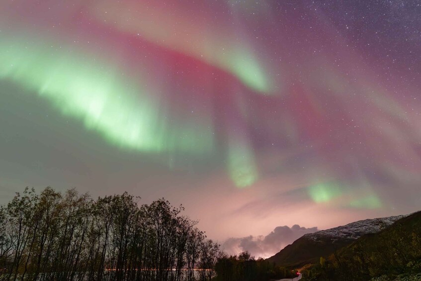 The aurora borealis over a mountainous landscape with a river and trees. 3