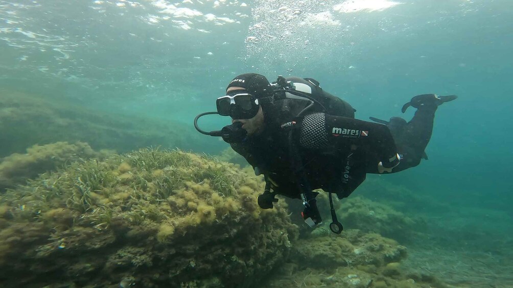 A diver with a wetsuit and scuba gear exploring underwater terrain with marine plants. 3