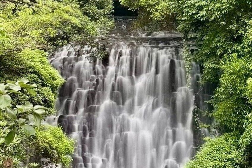 Da Lat Private City Tour and Pongour Waterfall 3