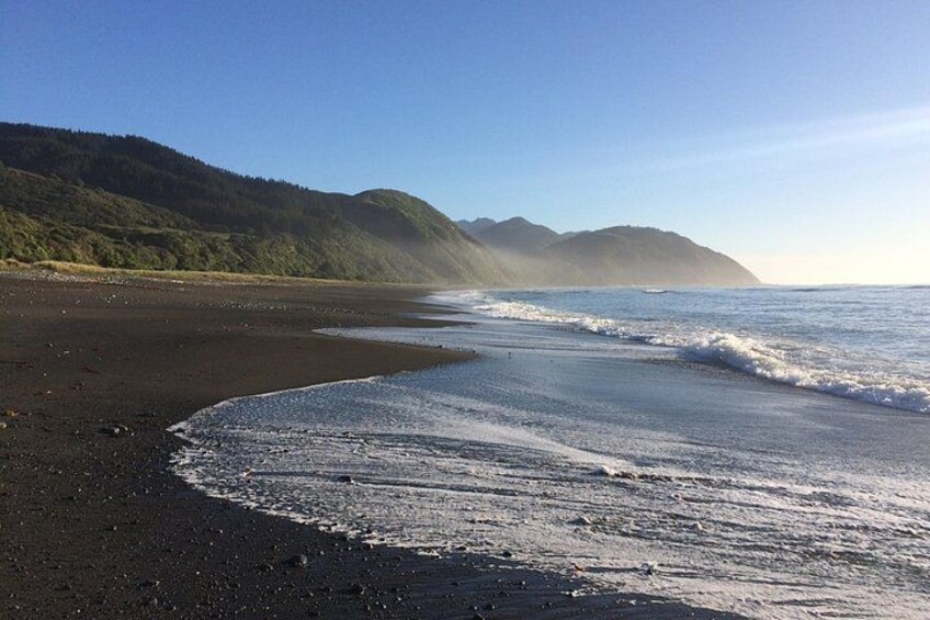 A beach with dark sand, gentle waves, and forested hills in the background. 3
