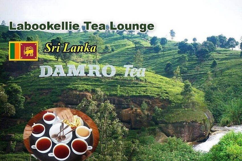 Full-Day Kandy - Nuwara Eliya - Kandy Private Tour 1